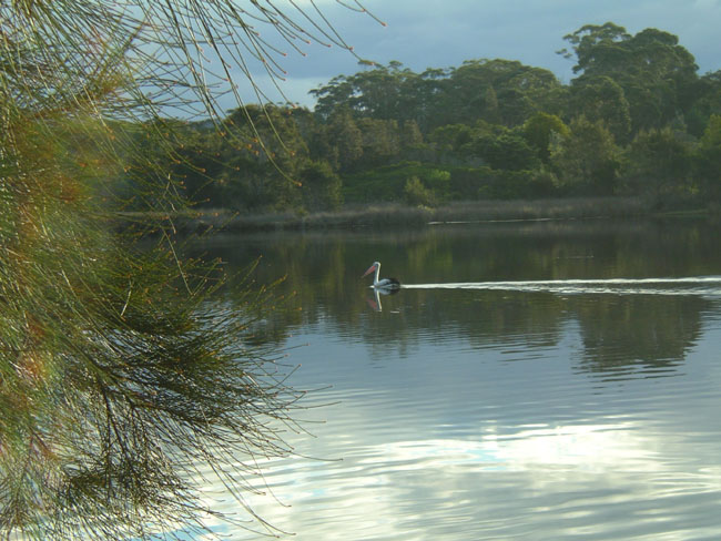 Voir des photos d'Australie