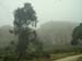 Photo 051